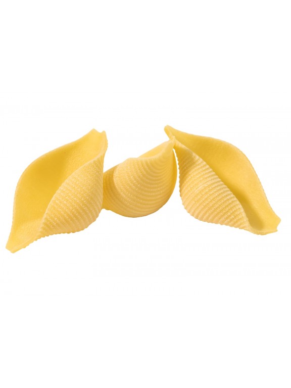 Conchiglioni