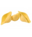 Conchiglioni
